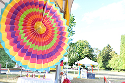 LAURELHURST SALMON BAKE 2016